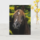 Carte Étalon Arabe (Fleur jaune)