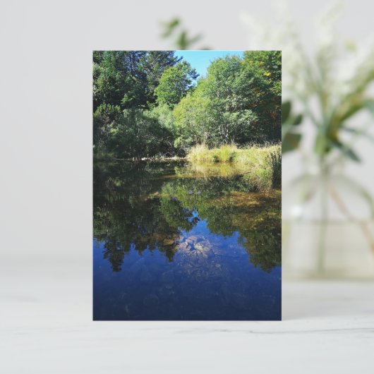 Carte étang dans la forêt (Debout devant)