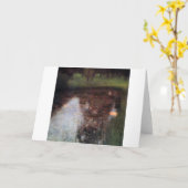 Carte Etang de calme sur le terrain du Château de Kammer (Fleur jaune)