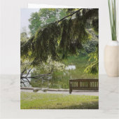 Carte Étang de canard ornemental (Dos)