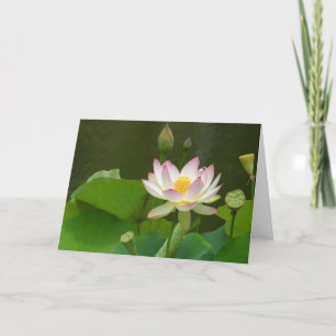 Carte Étangs de fleurs de lotus
