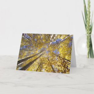 Carte États-Unis, Pacifique Nord-Ouest. Aspen en automne