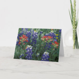 Carte États-Unis, Texas Hill Country. Bluebonnets et