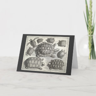 Carte Etching de tortue vintage