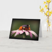 Carte "Été dans le Texas ! " (Fleur jaune)