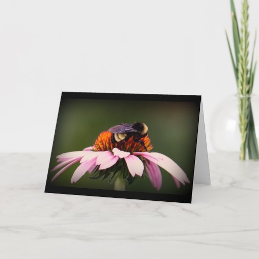 Carte "Été dans le Texas ! " (Devant)