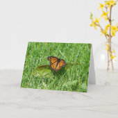 Carte Été papillon (Fleur jaune)