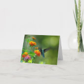 Carte Été ronflant (Devant)