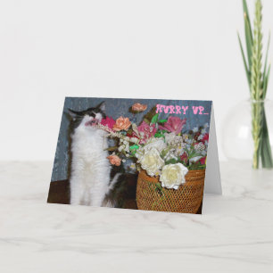 Carte Éternuer Kitty Allergic pour obtenir des fleurs de