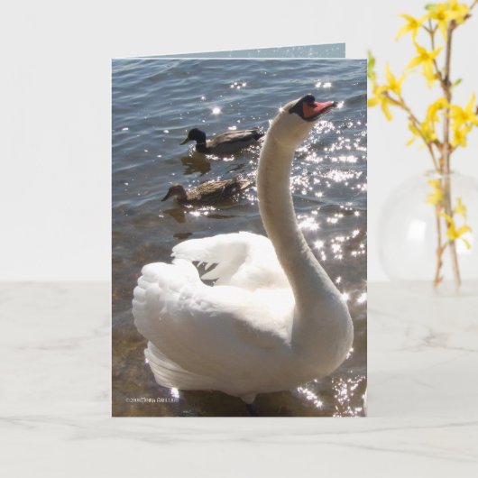 Carte Étoile brillante (Fleur jaune)