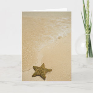 Carte Étoiles de mer sur la plage sablonneuse, terre de