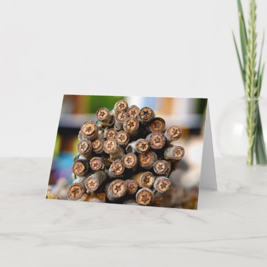 Carte Etoiles le long du Rio Grande Cotton Wood Trees (Devant)