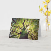 Carte Étreindre d'arbre (Fleur jaune)