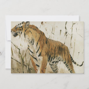 Carte Étude d'un tigre   Wilhelm Kuhnert