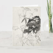 Carte Étude plante | Carel Adolph Cachet (Devant)