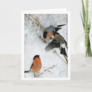 Carte Études sur le lièvre sauvage (lapin), Bruno Liljef