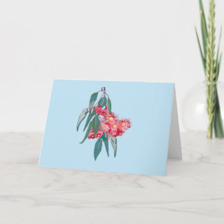 Carte Eucalyptus (Corymbia ficifolia) sur Bleu