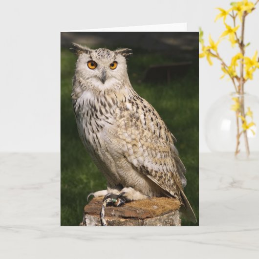 Carte Eurasian Eagle Owl (Fleur jaune)