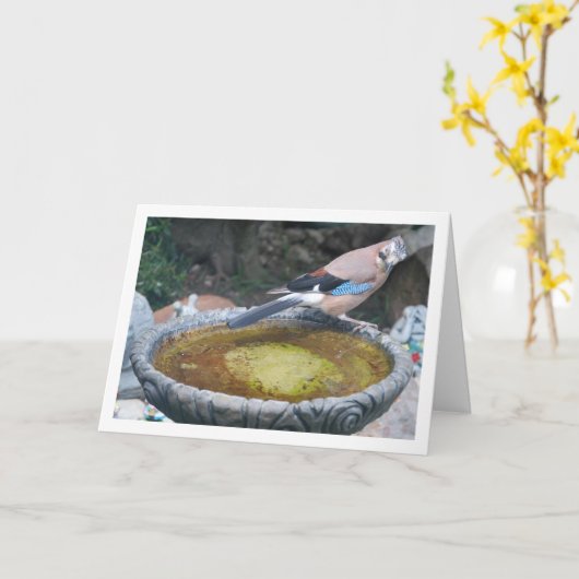 Carte Eurasien Jay Bird assis sur un bain d'oiseaux (Fleur jaune)