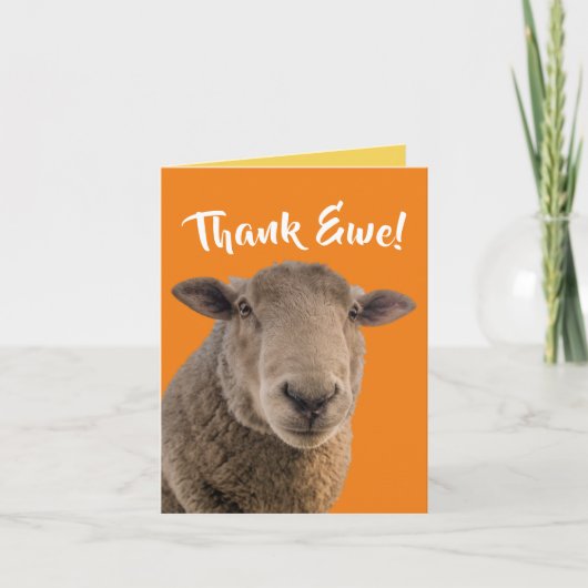 Carte "Ewe" Remerciante Avec Un Ewe (Devant)