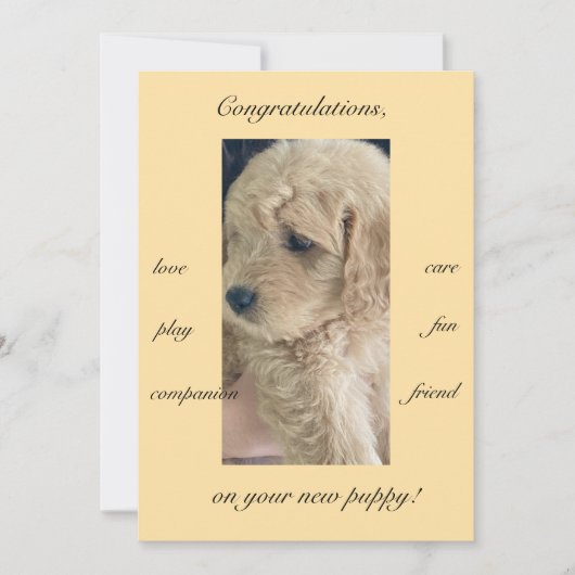 Carte Excitations, joie & plaisir, nouveau chiot, plat (Devant)