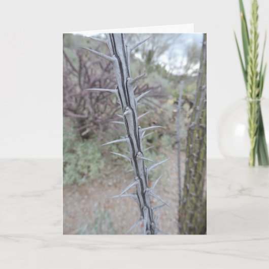 Carte excuses (Devant)