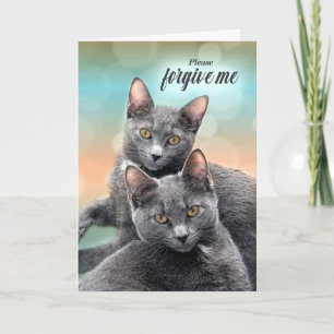 Carte Excuses d'Amoureux des chats deux chats gris