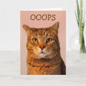 Carte Excuses de chats (Devant)
