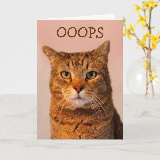 Carte Excuses de chats (Fleur jaune)