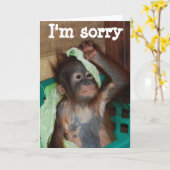 Carte Excuses Je suis désolé (Fleur jaune)