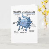 Carte Explication Axolotl Anatomie D'Un Axolotl (Fleur jaune)