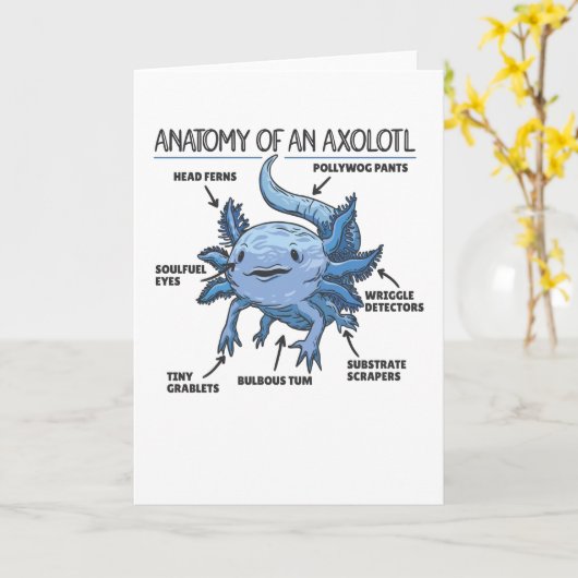 Carte Explication Axolotl Anatomie D'Un Axolotl (Fleur jaune)