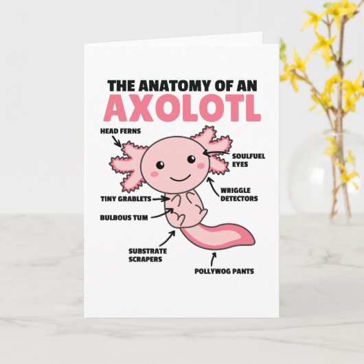 Carte Explication Axolotl Anatomie D'Un Axolotl (Fleur jaune)