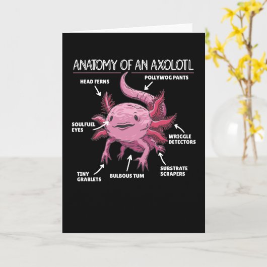 Carte Explication Axolotl Anatomie D'Un Axolotl (Fleur jaune)