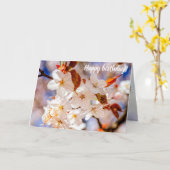 Carte Extraordinaire Bunch De Fleurs Sakura Au Printemps (Fleur jaune)