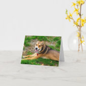 Carte Extrémité fausse de la laisse (Fleur jaune)