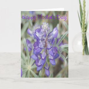 Carte F0018 Fleurs sauvages violettes Lupin annuel