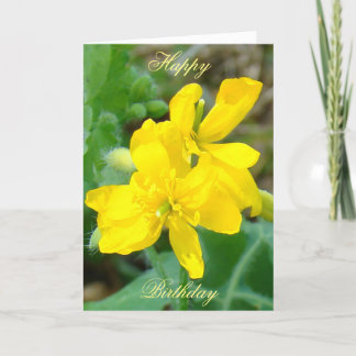 Carte F44 Mustard sauvage Fleur sauvage jaune