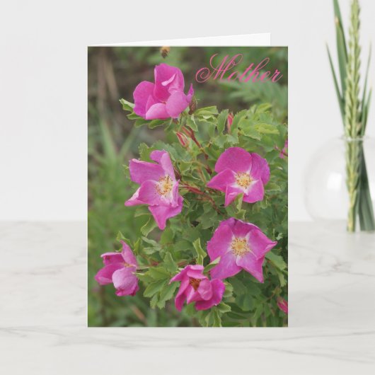 Carte F46 Roses sauvages (Devant)