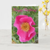 Carte F4a Wild Rose (Fleur jaune)