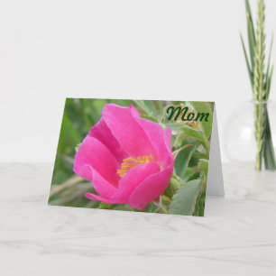 Carte F7 Rose sauvage
