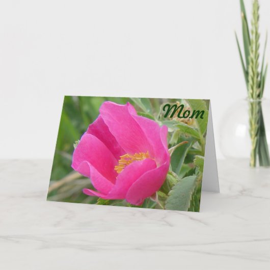 Carte F7 Rose sauvage (Devant)