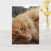 Carte Face du chat Ginger (Fleur jaune)