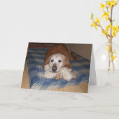 Carte Face endormie (Fleur jaune)