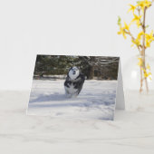 Carte Facturation (Fleur jaune)