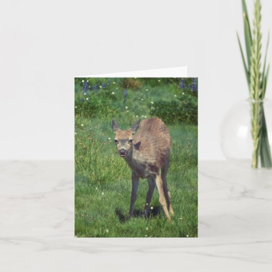Carte Faire face (Devant)