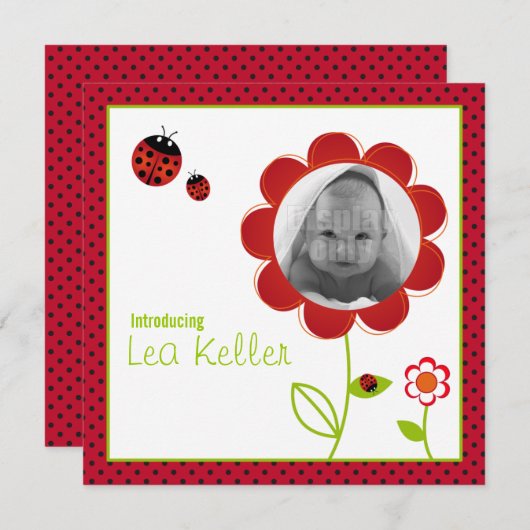 Carte faire-part de naissance Ladybug (Devant / Derrière)