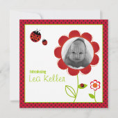 Carte faire-part de naissance Ladybug (Devant)