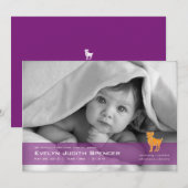 Carte Faire-part de naissance photo du bélier (Devant / Derrière)