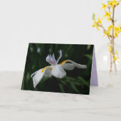 Carte "fairy iris" GREETING CARD (Fleur jaune)